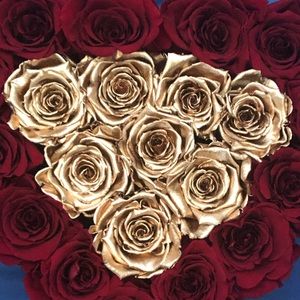 Meet your Posher, Yanet